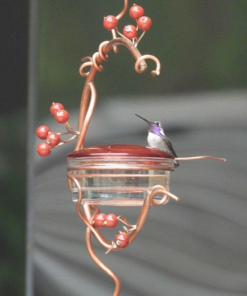 🔥50% OFF TODAY🔥 Red Berries Hummingbird Feeder