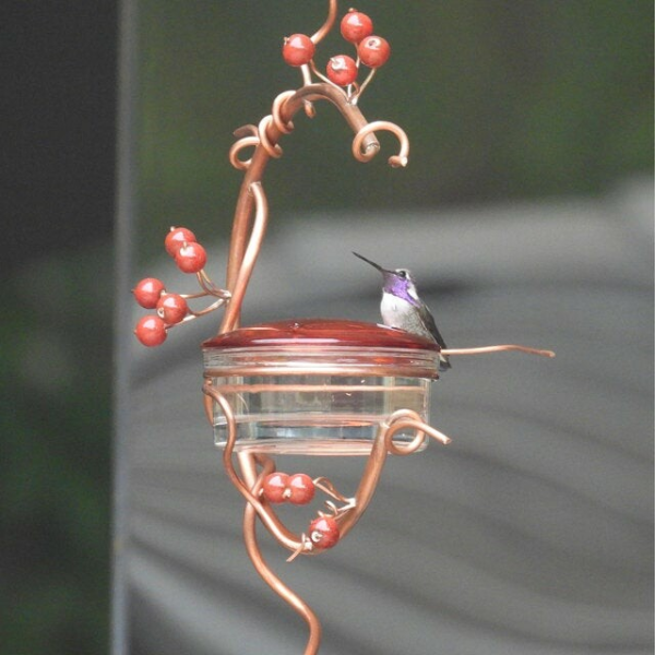 🔥50% AZY ANIO🔥Red Berries Hummingbird Feeder