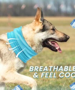 Magicool™ -10°F Dog Cooling Scarf