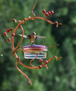 🔥50% KORTING HJOED🔥Red Berries Hummingbird Feeder