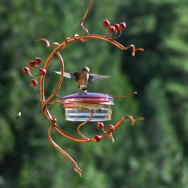 🔥50% ԶԵՂՉ ԱՅՍՕՐ 🔥Red Berries Hummingbird Feeder