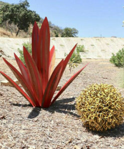 Чистий метал+гарячі розпродажі 50% знижка на червону текілу-агава-ідеально підходить для прикраси саду
