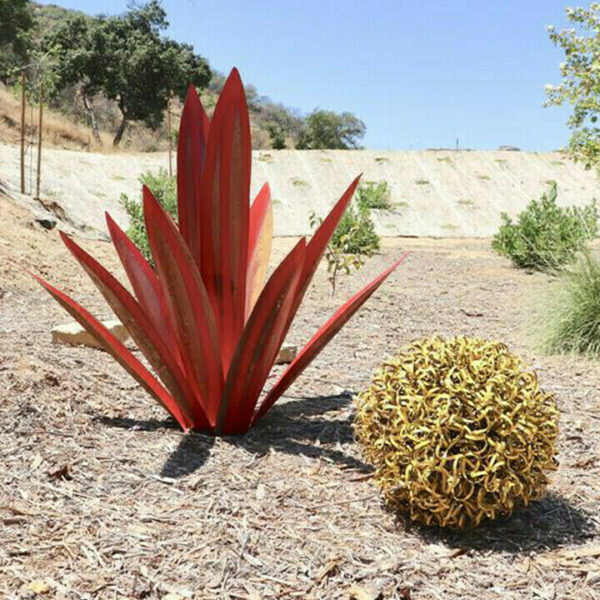 Grynas metalas + karštas išpardavimas 50 % raudona tekila agava – puikiai tinka sodo dekoravimui