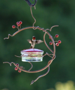 🔥50% ka dhimman maanta🔥Red Berries Hummingbird Feeder