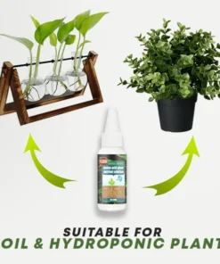 Plant Nutrient Solution