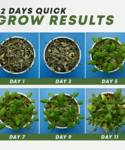 Plant Nutrient Solution