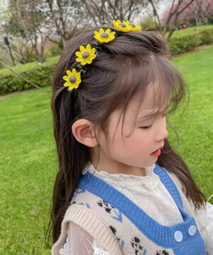 2021 Girl Sweet Princess orrazkera Hairpin-Erosi 3 Lortu 2 doan!!