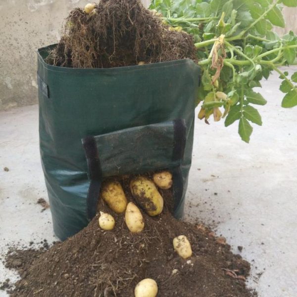 30L Large Capacity Potato Grow Planter PE Container Bag Pouch Tomato Vegetables Garden Outdoor