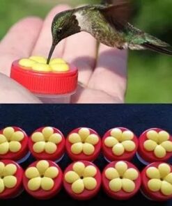 (🔥Summer Hot Sale - Save 50% OFF) Handheld Hummingbird Feeder