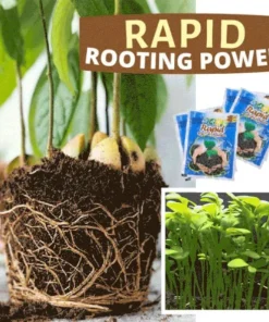 Rapid Rooting Powder