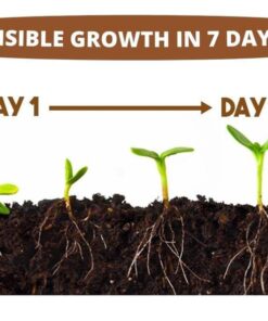 Rapid Rooting Powder