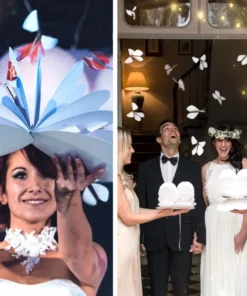 Early Christmas Hot Sale 50% OFF- Magic Butterfly Flying Card Toy(Buy 20 Free Shipping)