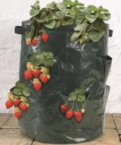 8 Pockets Potato Strawberry Planter Balcony Strawberry Planting Bag Herbs Vegetables Garden
