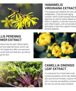 Last Day Promotions-50% OFF⚡2021 New Magical Perfecting Base Face Primer Under Foundation