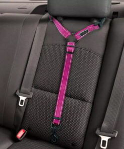 2021 Must-Have Dog Car Seat Belt