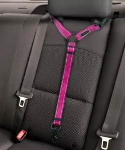 2021 Must-Have Dog Car Seat Belt