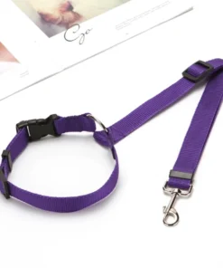 2021 Must-Have Dog Car Seat Belt