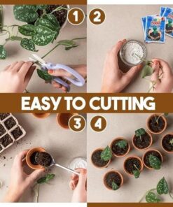 Rapid Rooting Powder