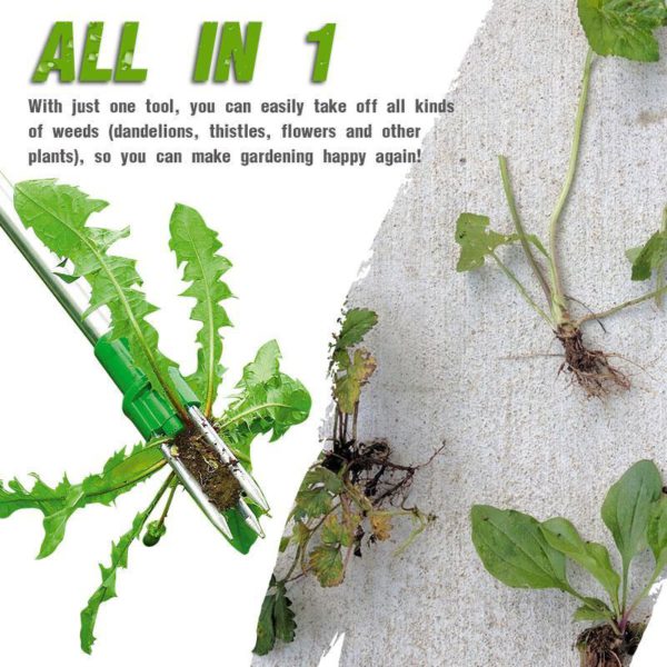 ⚡Buy 2 Save 10%OFF Standing Plant Root Remover