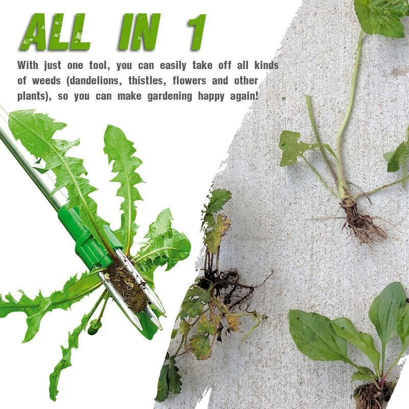 ⚡Buy 2 Save 10%OFF Standing Plant Root Remover