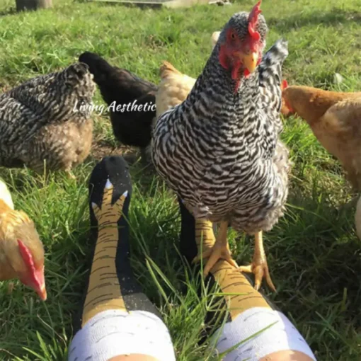 Chicken Legs Socks🔥Christmas Socks Funny Gift🎁