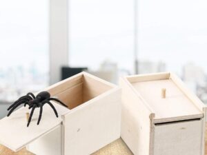 🔥SUMMER HOT SALE🔥Super Funny Crazy Spider Box Prank