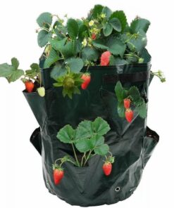 8 Pockets Potato Strawberry Planter Balcony Strawberry Planting Bag Herbs Vegetables Garden