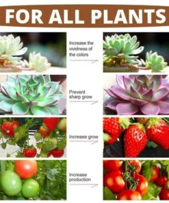 Rapid Rooting Powder