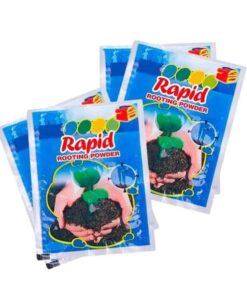 Rapid Rooting Powder