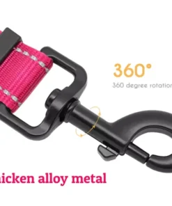 2021 Must-Have Dog Car Seat Belt