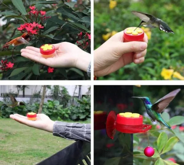 (🔥Summer Hot Sale - Save 50% OFF) Handheld Hummingbird Feeder