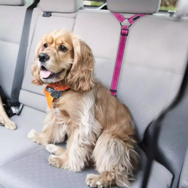 Bezpečnostný pás do auta pre psov 2020