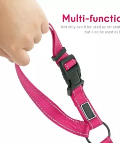 2021 Must-Have Dog Car Seat Belt
