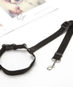 2021 Must-Have Dog Car Seat Belt