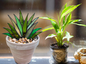 Suncatcher Stained Agave Plante-Buy More Save More