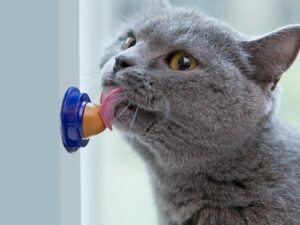 LICKI-CIOUS CAT TREAT