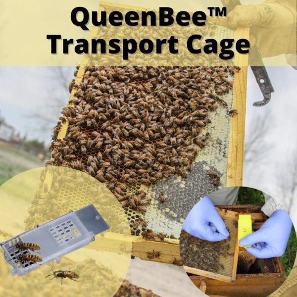 [PROMO 30% OFF] QueenBee™ Transport Cage