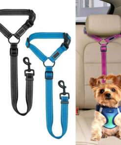 2020 Must-Have Dog Car Seat Belt