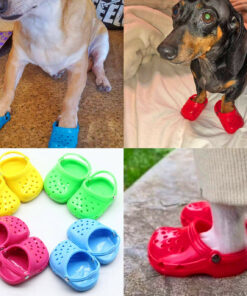 🔥Buy 1 Get 1 Free🔥Dog Crocs Are Now A Thing, And Your Dog Probably Wants Them