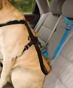 2021 Must-Have Dog Car Seat Belt