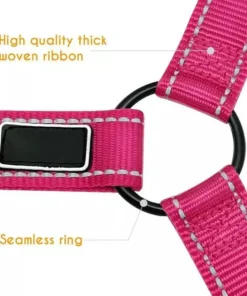 2021 Must-Have Dog Car Seat Belt