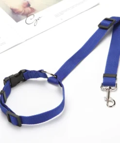 2021 Must-Have Dog Car Seat Belt