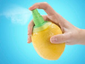 (SUMMER HOT SALE - SAVE 50% OFF) Citrus Sprayers