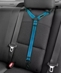 2021 Must-Have Dog Car Seat Belt