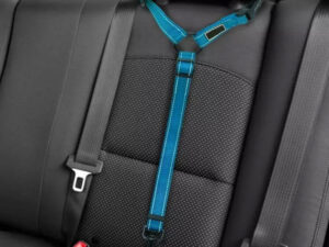 2021 Must-Have Dog Car Seat Belt