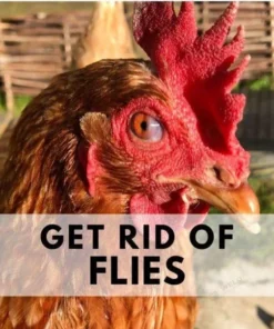 REUSABLE FLY TRAP (50% Off Today, Buy More Save More)