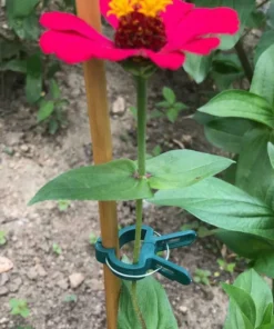 💥 Hot Sale 50% OFF💥 Reusable Garden Flower Lever Loop Gripper Clips