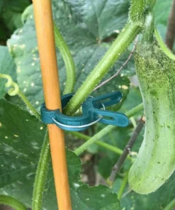 💥 Hot Sale 50% OFF💥 Reusable Garden Flower Lever Loop Gripper Clips