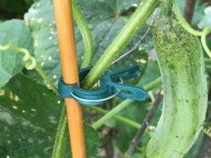 💥 Hot Sale 50% OFF💥 Reusable Garden Flower Lever Loop Gripper Clips