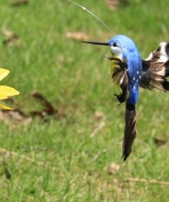 (❤️Sieviešu dienas zibatmiņas izpārdošana — 50% ATLAIDE) Saules dejojošs kolibri